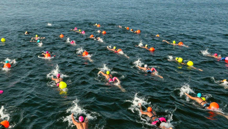 Tuna Swim Club: Một người, hai chỗ ngồi, và nút thắt mang tên nước bể