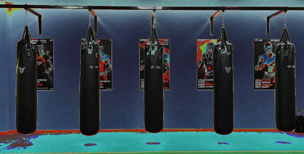 Chuncheon 2026: Nguyễn Thiện Phụng và bài toán giữ nhịp cho chu kỳ mới của Taekwondo Việt Nam